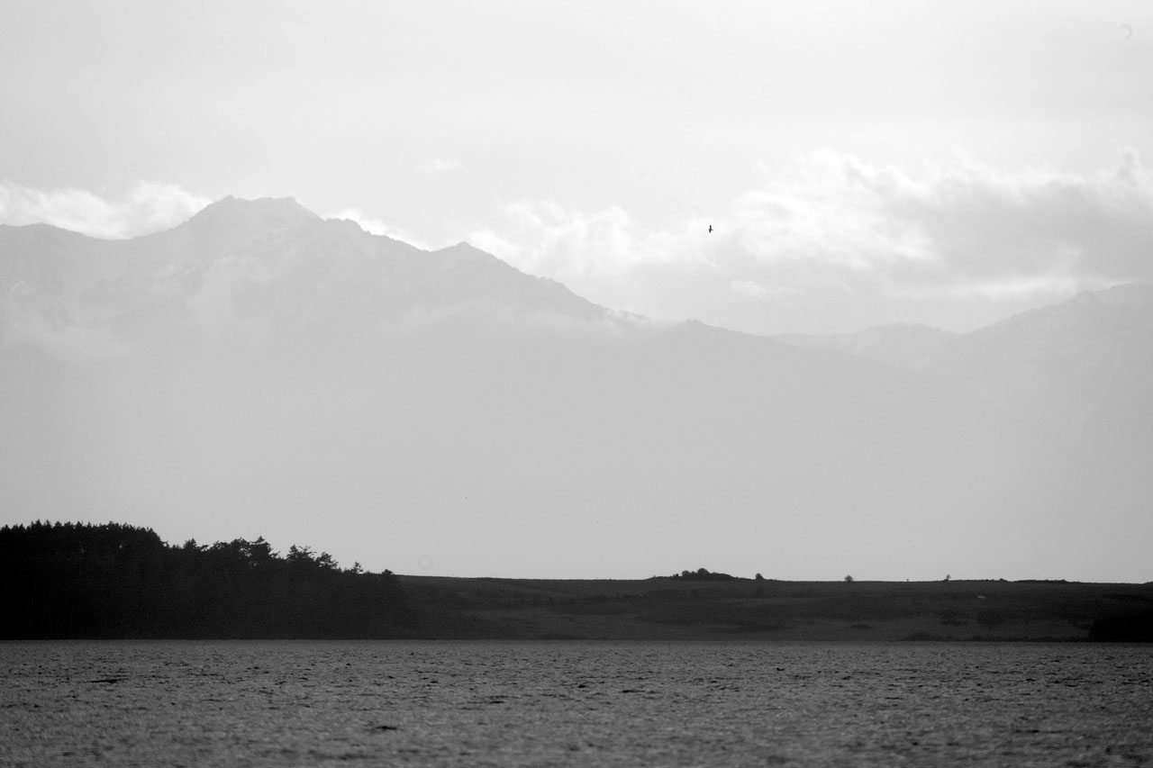 black and white photo